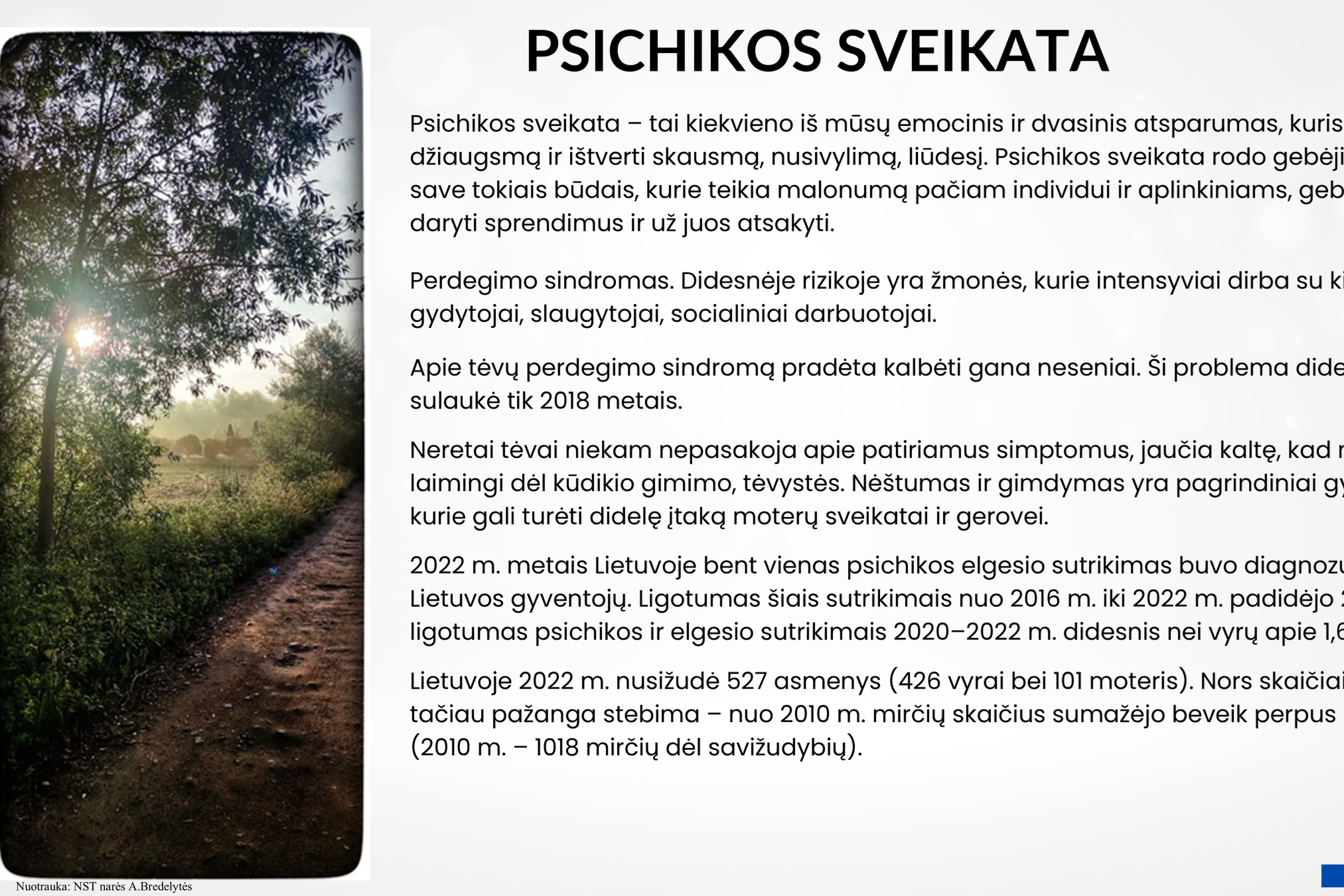 Iliustracija